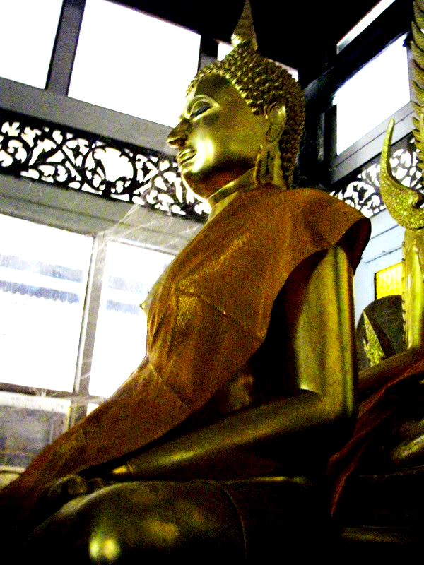 IMGP0001.jpg
